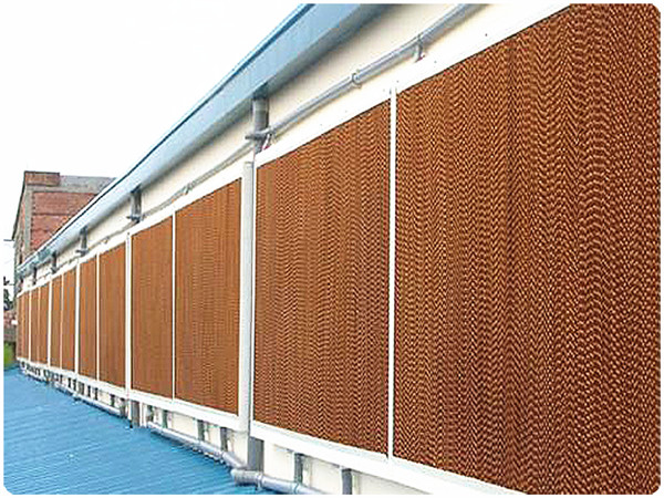 水帘纸如何更换？